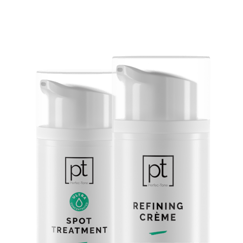 Perfec-Tone Products Toning System